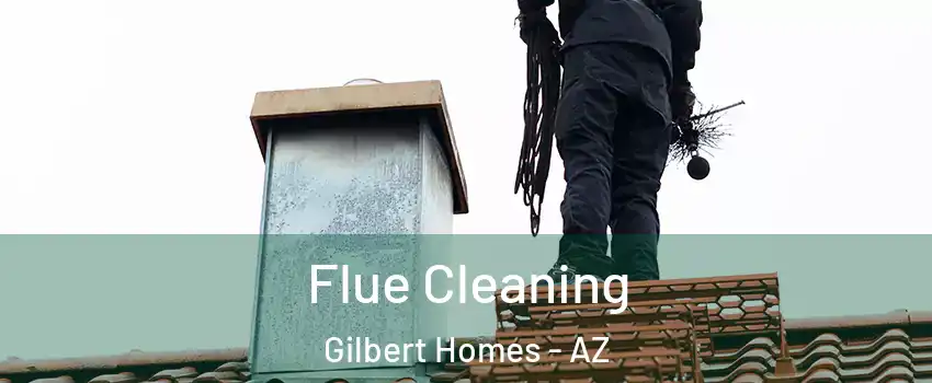 Flue Cleaning Gilbert Homes - AZ