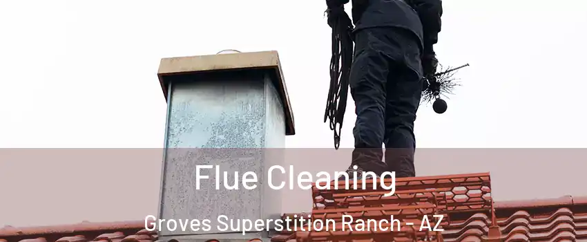 Flue Cleaning Groves Superstition Ranch - AZ