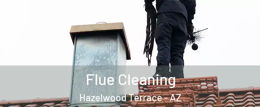 Flue Cleaning Hazelwood Terrace - AZ