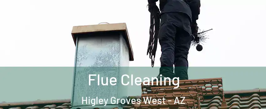 Flue Cleaning Higley Groves West - AZ