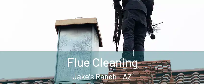 Flue Cleaning Jake's Ranch - AZ