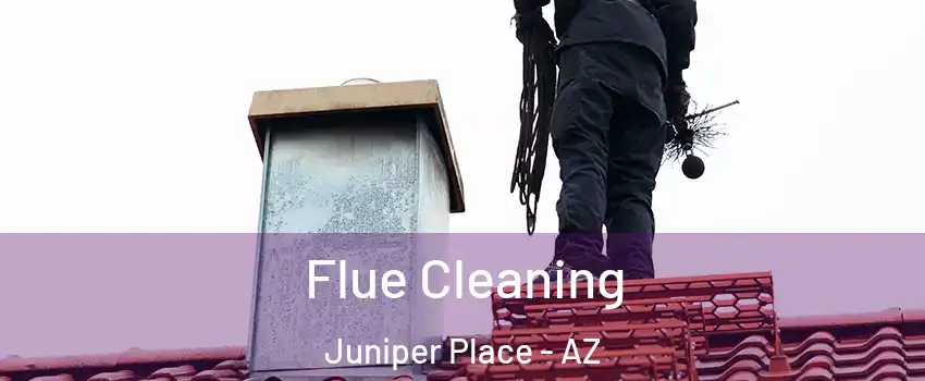 Flue Cleaning Juniper Place - AZ