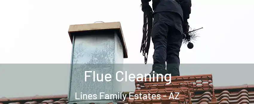 Flue Cleaning Lines Family Estates - AZ