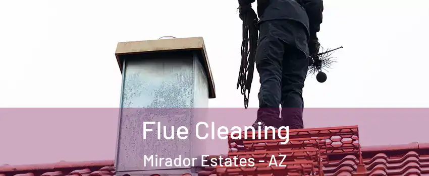 Flue Cleaning Mirador Estates - AZ