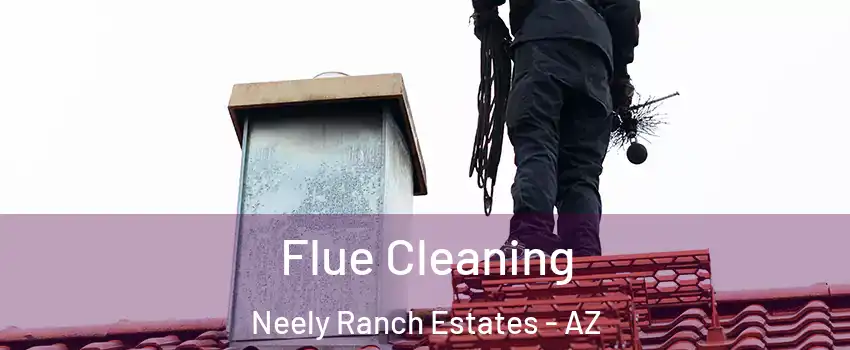 Flue Cleaning Neely Ranch Estates - AZ