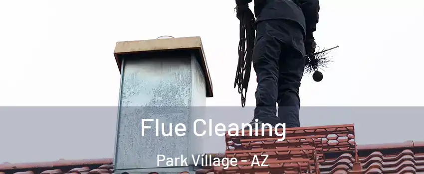 Flue Cleaning Park Village - AZ