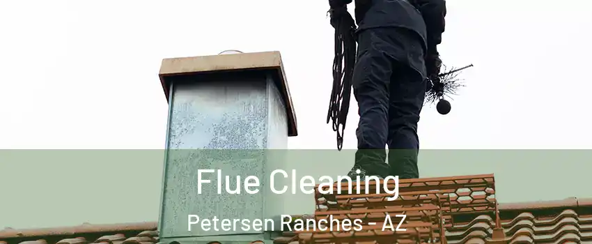 Flue Cleaning Petersen Ranches - AZ