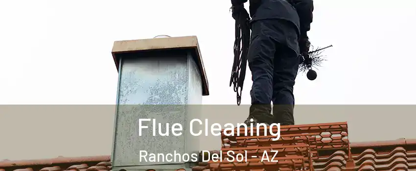 Flue Cleaning Ranchos Del Sol - AZ