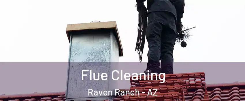 Flue Cleaning Raven Ranch - AZ