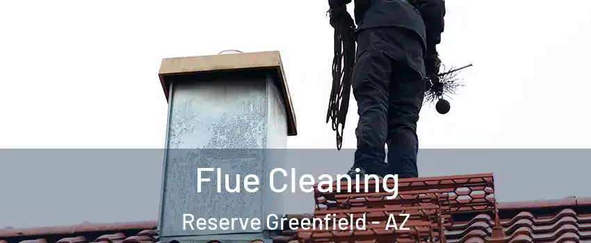 Flue Cleaning Reserve Greenfield - AZ