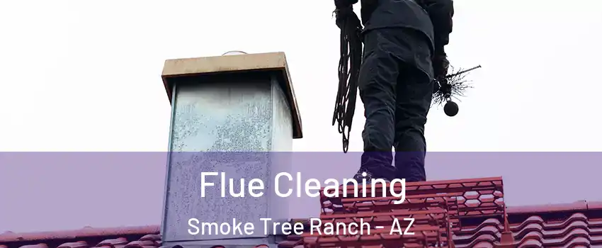 Flue Cleaning Smoke Tree Ranch - AZ