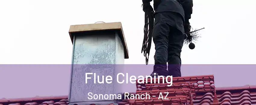 Flue Cleaning Sonoma Ranch - AZ