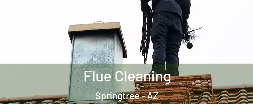 Flue Cleaning Springtree - AZ