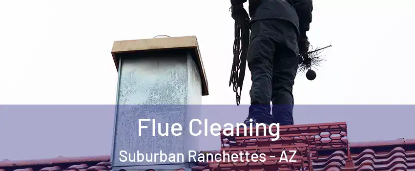 Flue Cleaning Suburban Ranchettes - AZ