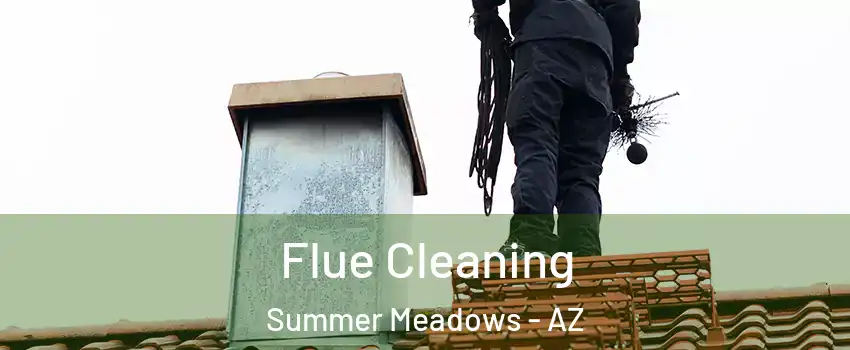Flue Cleaning Summer Meadows - AZ