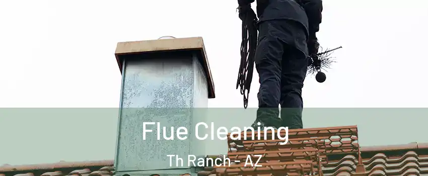 Flue Cleaning Th Ranch - AZ