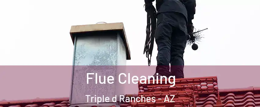 Flue Cleaning Triple d Ranches - AZ