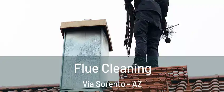 Flue Cleaning Via Sorento - AZ