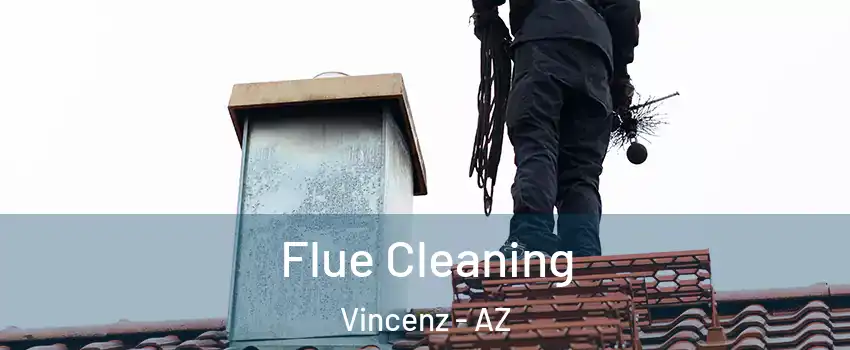 Flue Cleaning Vincenz - AZ