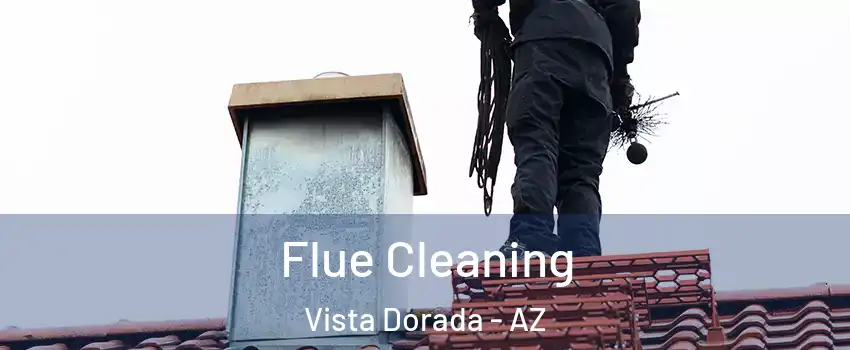 Flue Cleaning Vista Dorada - AZ
