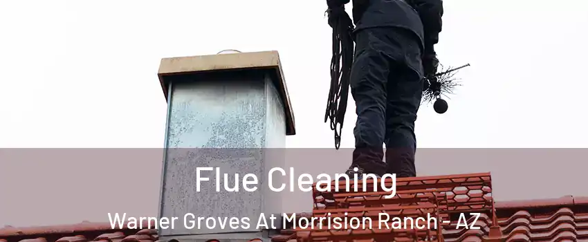 Flue Cleaning Warner Groves At Morrision Ranch - AZ