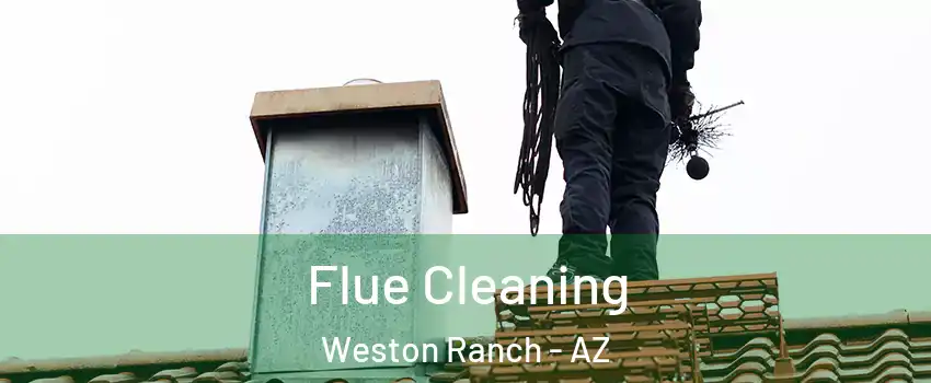 Flue Cleaning Weston Ranch - AZ