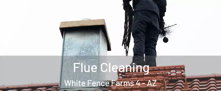 Flue Cleaning White Fence Farms 4 - AZ