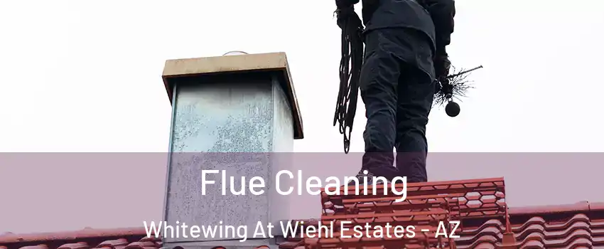 Flue Cleaning Whitewing At Wiehl Estates - AZ