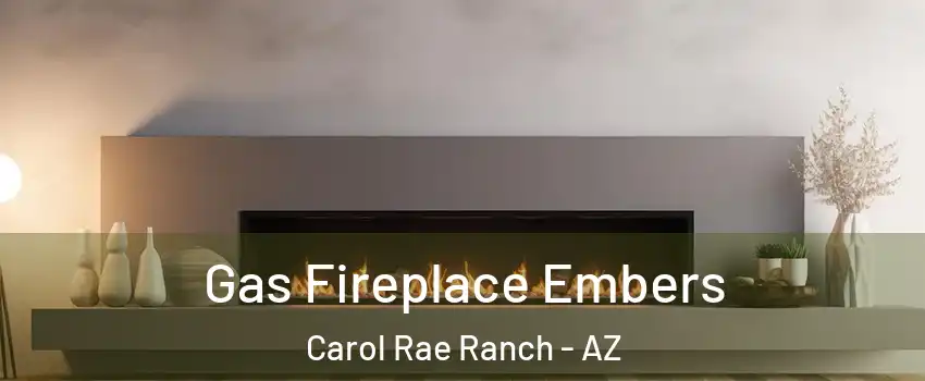 Gas Fireplace Embers Carol Rae Ranch - AZ