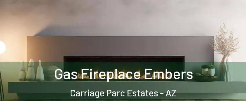 Gas Fireplace Embers Carriage Parc Estates - AZ