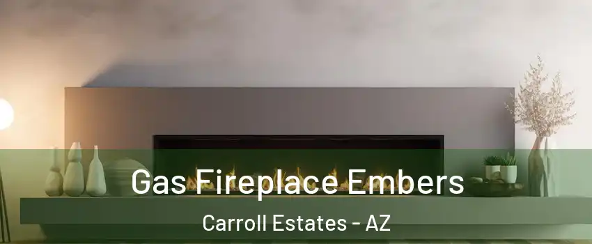 Gas Fireplace Embers Carroll Estates - AZ