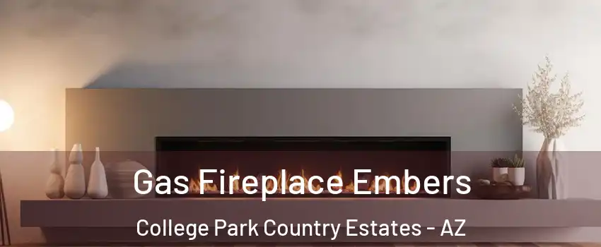 Gas Fireplace Embers College Park Country Estates - AZ