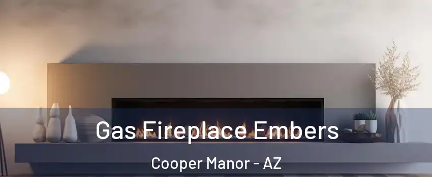 Gas Fireplace Embers Cooper Manor - AZ