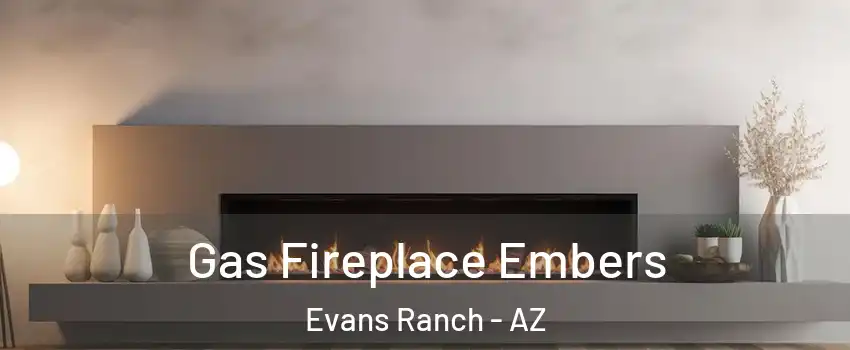Gas Fireplace Embers Evans Ranch - AZ