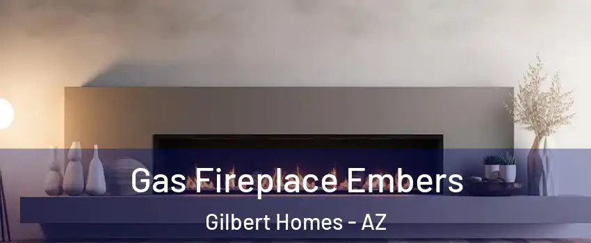 Gas Fireplace Embers Gilbert Homes - AZ