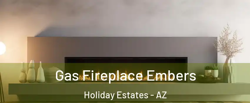 Gas Fireplace Embers Holiday Estates - AZ