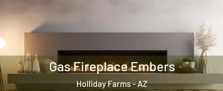 Gas Fireplace Embers Holliday Farms - AZ