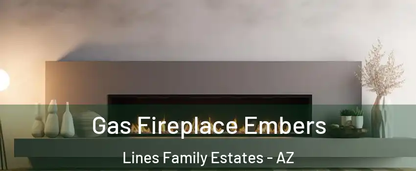 Gas Fireplace Embers Lines Family Estates - AZ