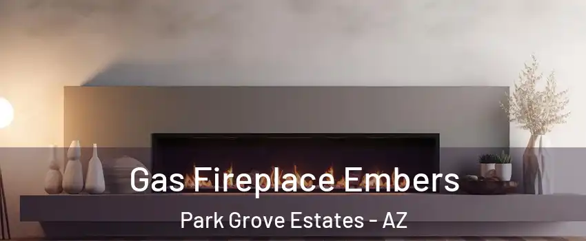 Gas Fireplace Embers Park Grove Estates - AZ
