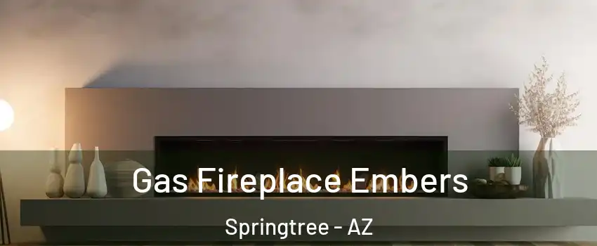 Gas Fireplace Embers Springtree - AZ