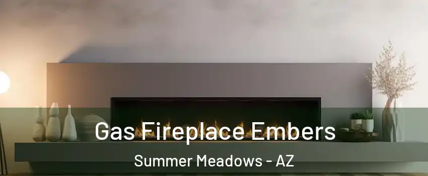 Gas Fireplace Embers Summer Meadows - AZ