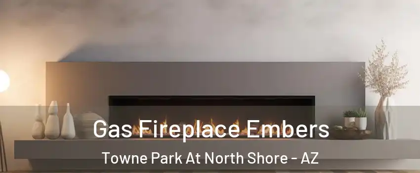 Gas Fireplace Embers Towne Park At North Shore - AZ