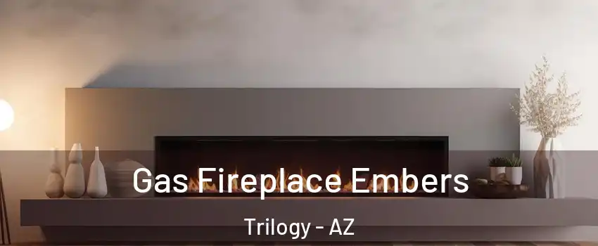 Gas Fireplace Embers Trilogy - AZ