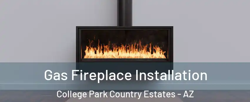 Gas Fireplace Installation College Park Country Estates - AZ