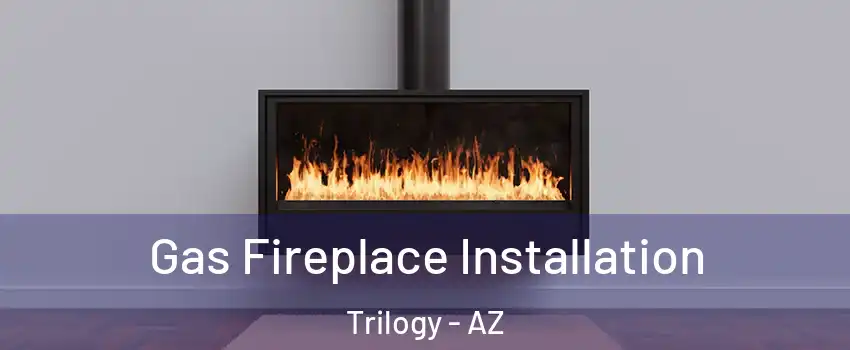 Gas Fireplace Installation Trilogy - AZ