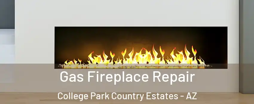Gas Fireplace Repair College Park Country Estates - AZ