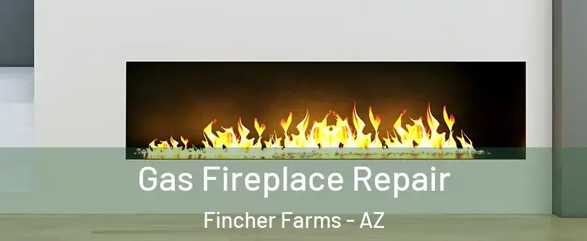 Gas Fireplace Repair Fincher Farms - AZ