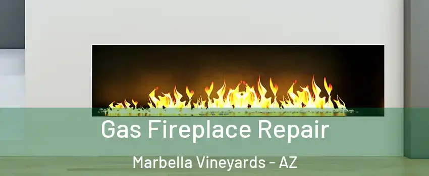 Gas Fireplace Repair Marbella Vineyards - AZ