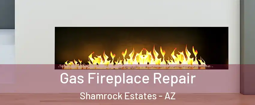 Gas Fireplace Repair Shamrock Estates - AZ