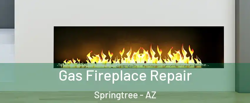 Gas Fireplace Repair Springtree - AZ